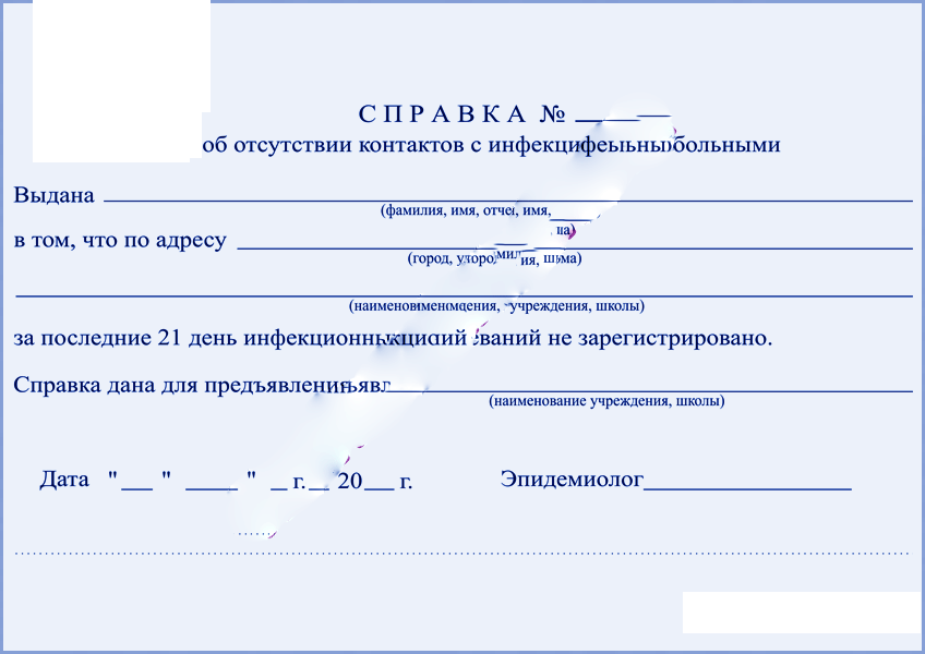 Справка об эпидокружении